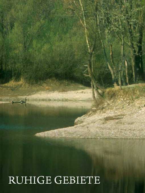 Teichufer mit Schotter und Bäumen im Hintergrund